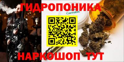гидропоника Новокубанск