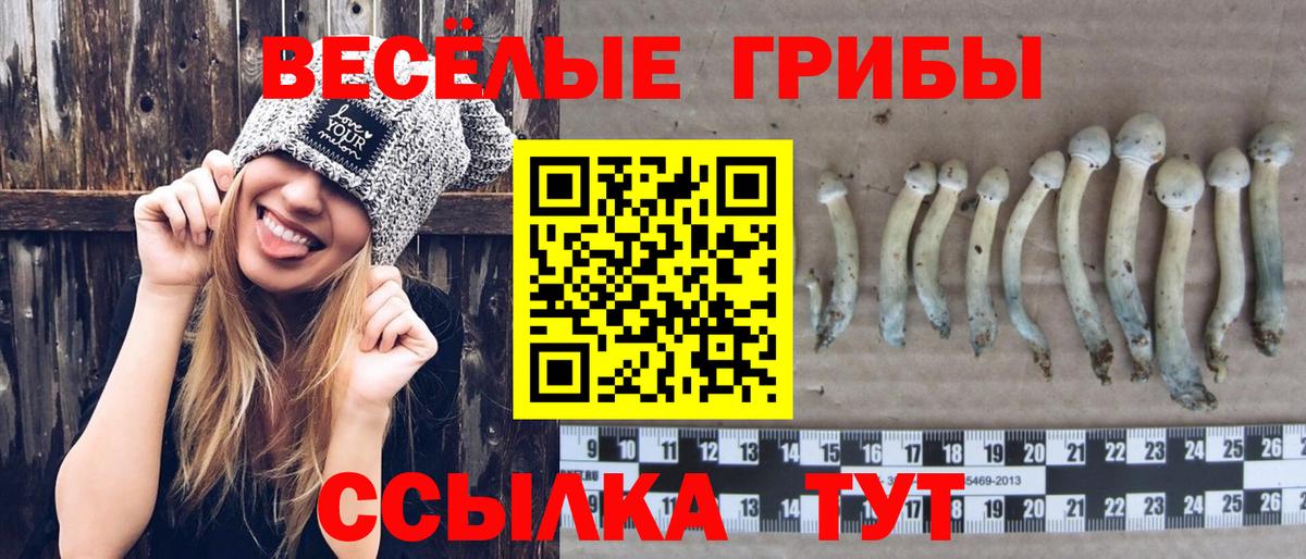 Галлюциногенные грибы прущие грибы Таганрог